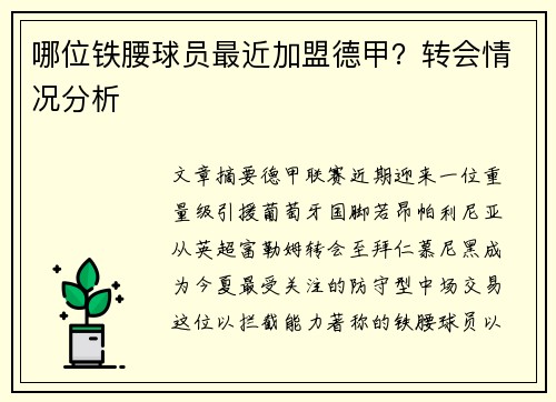 哪位铁腰球员最近加盟德甲？转会情况分析
